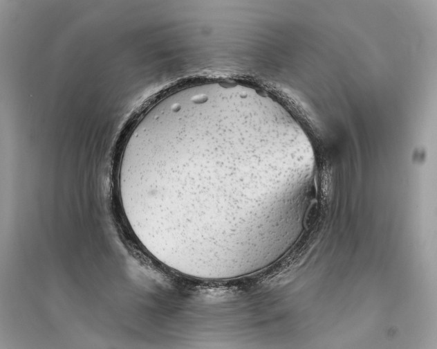 X0000094460540200711291724