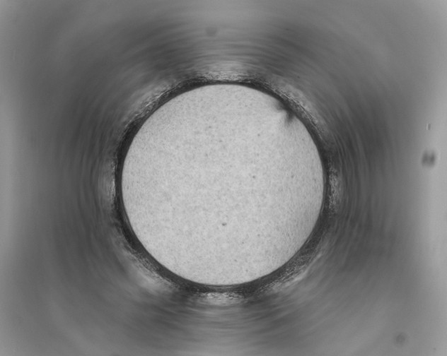 X0000094460541200711291724