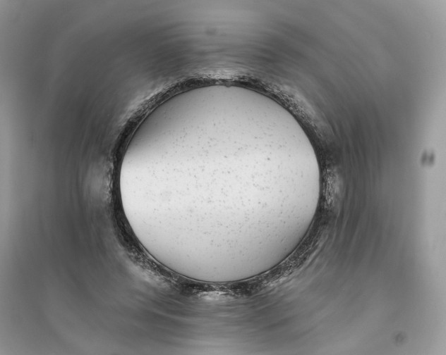 X0000094460544200711291724