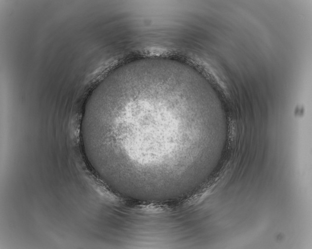 X0000094460545200711291724