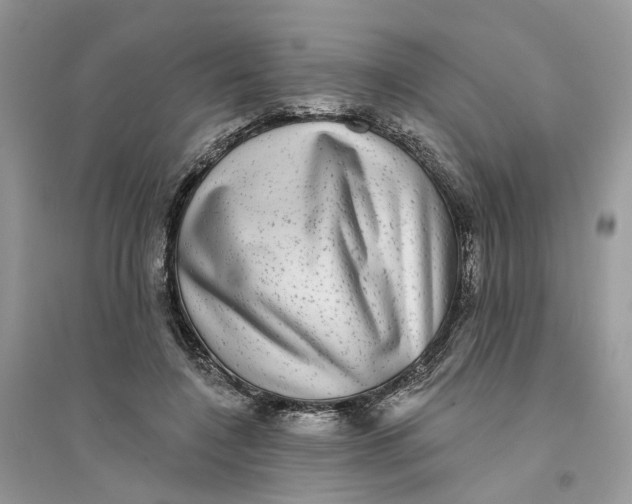 X0000094460548200711291724