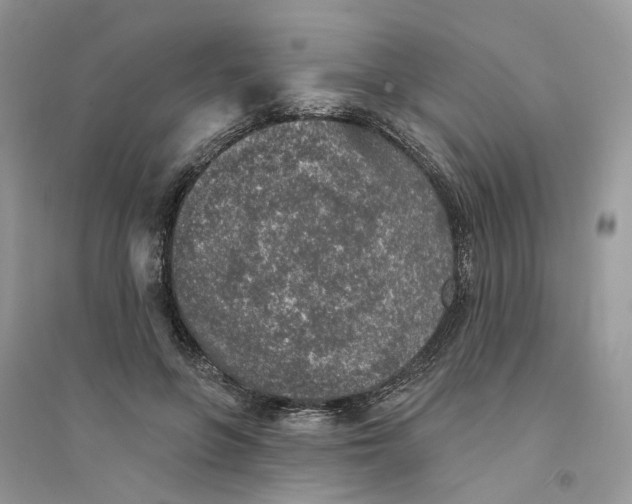 X0000094460551200711291724