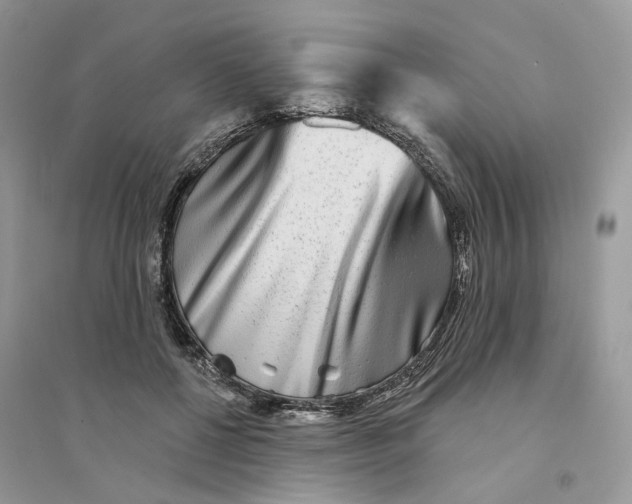 X0000094460552200711291724