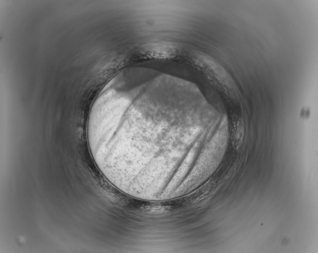 X0000094460553200711291724