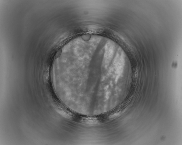 X0000094460554200711291724