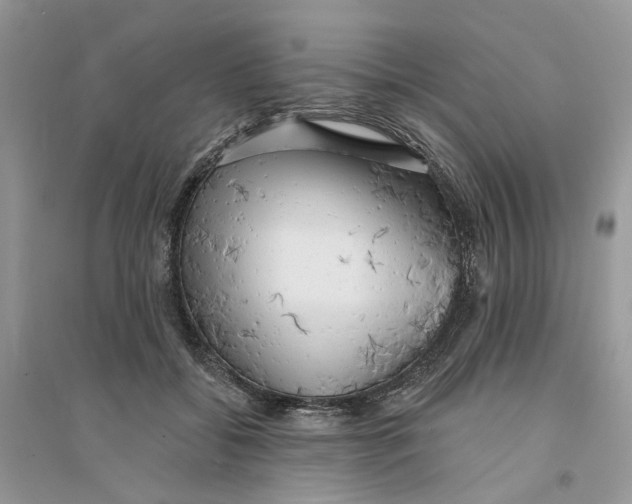 X0000094460556200711291724