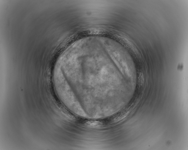 X0000094460557200711291724