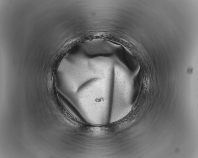 X0000094460558200711291724