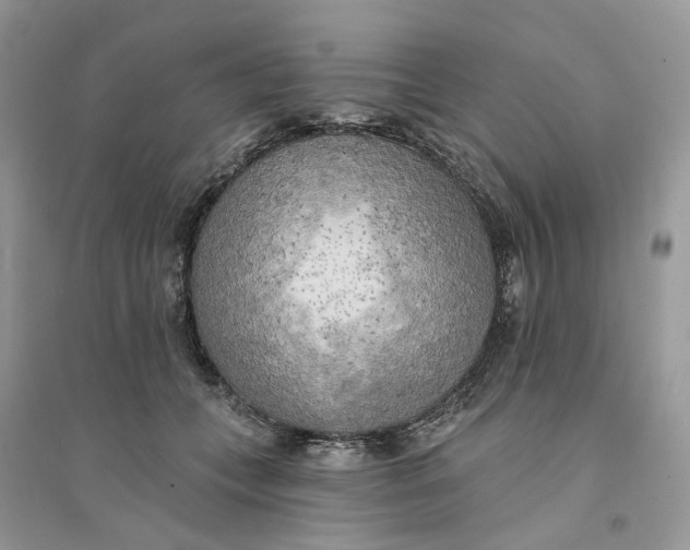 X0000094460559200711291724