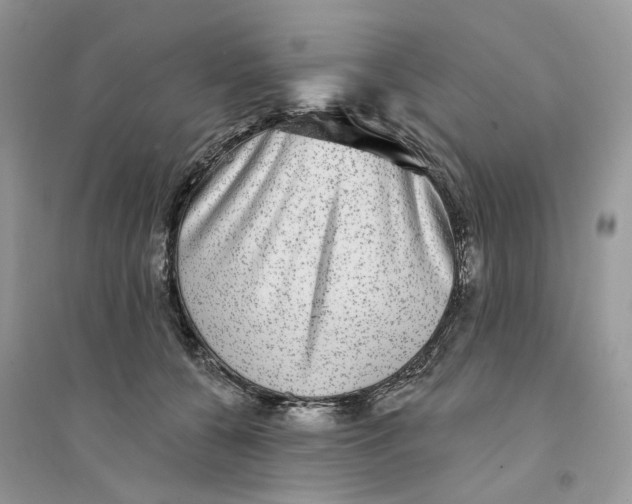 X0000094460560200711291724