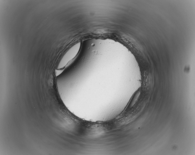 X0000094460562200711291724