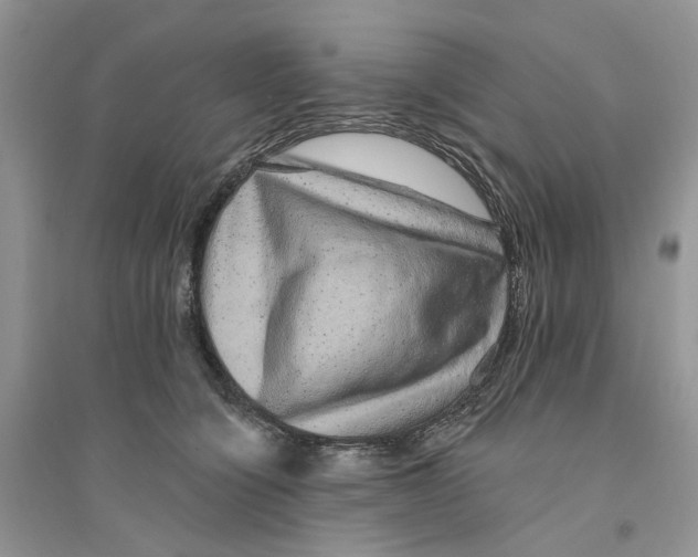 X0000094460564200711291724