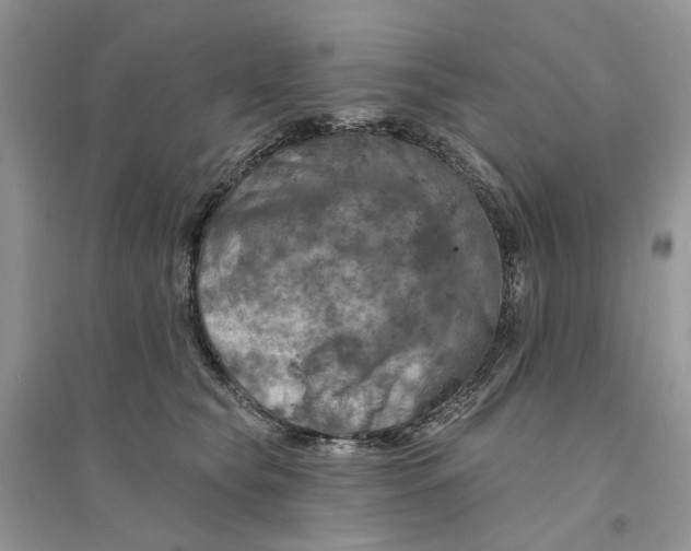 X0000094460565200711291724