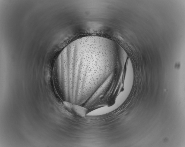 X0000094460566200711291724