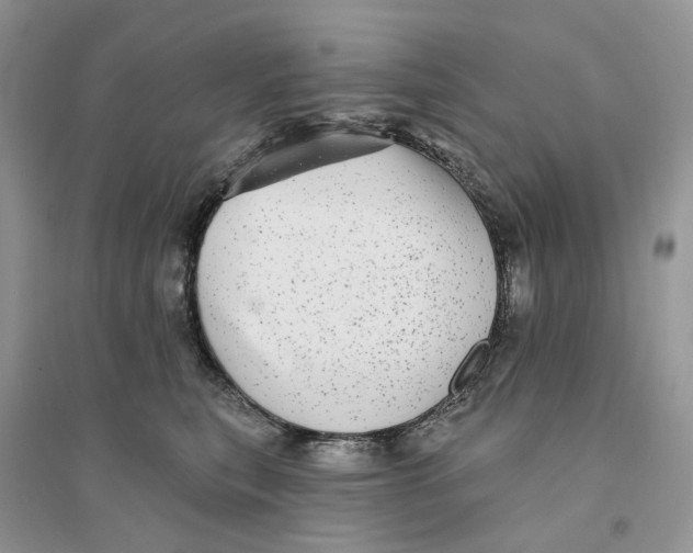 X0000094460567200711291724