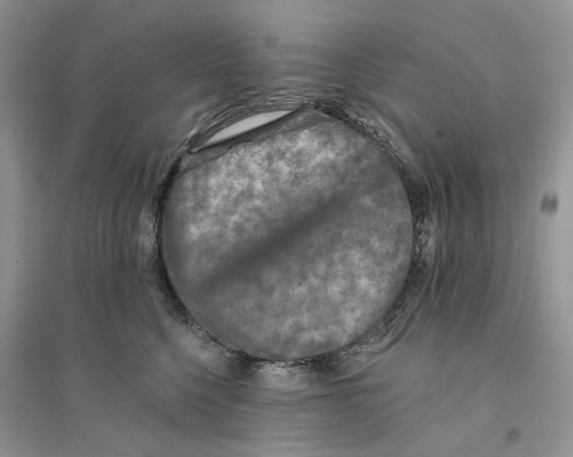 X0000094460568200711291724