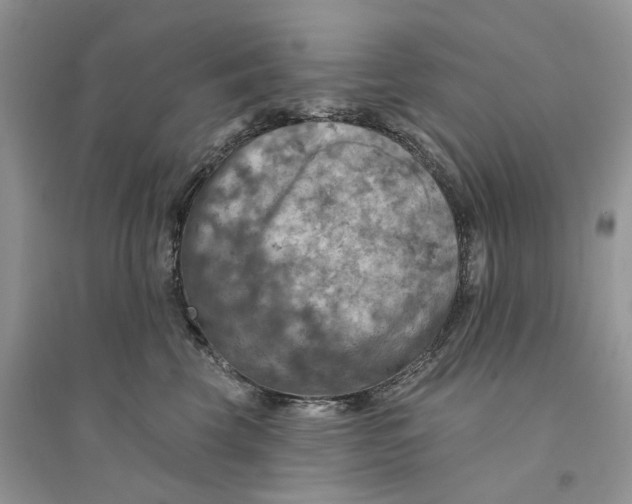 X0000094460569200711291724