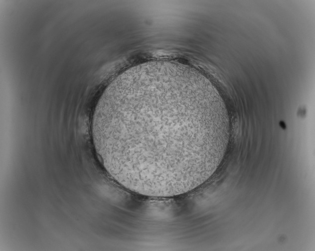 X0000094460571200711291724