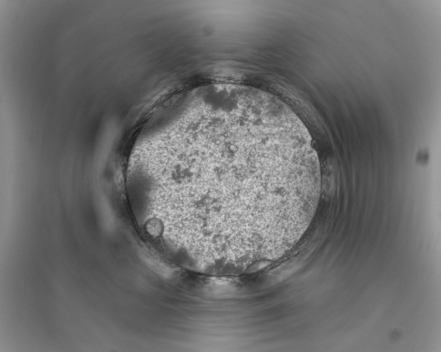 X0000094460573200711291724