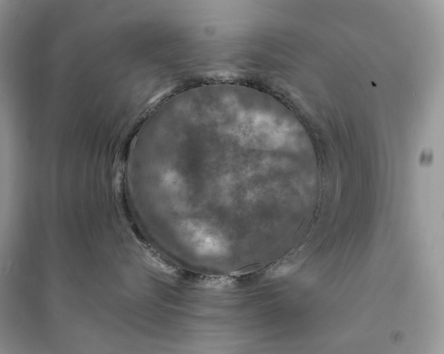 X0000094460576200711291724