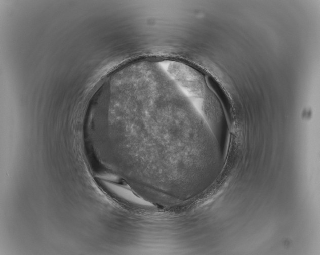 X0000094460577200711291724