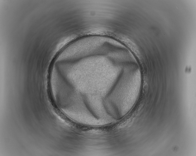 X0000094460578200711291724