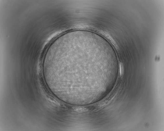 X0000094460579200711291724