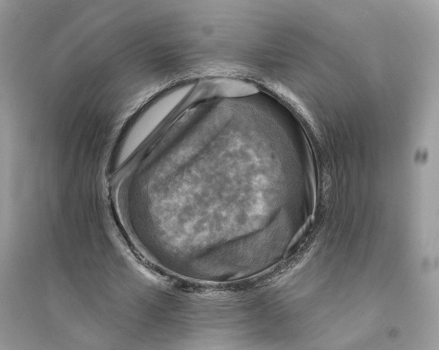 X0000094460581200711291724