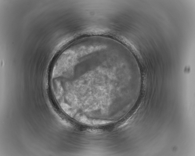 X0000094460582200711291724