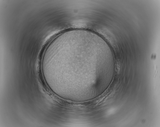 X0000094460583200711291724