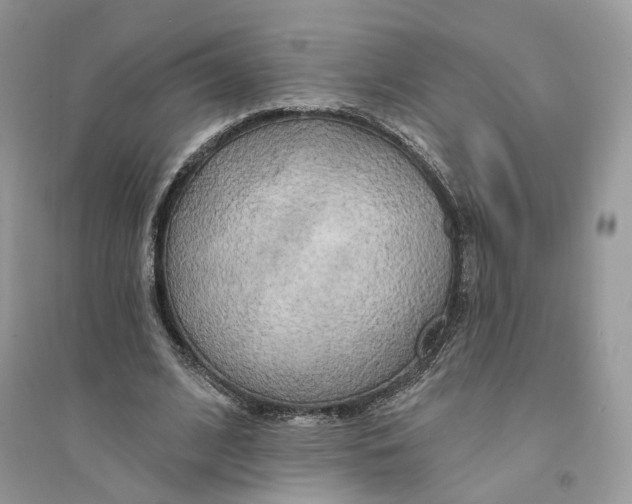 X0000094460584200711291724