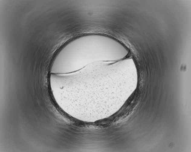 X0000094460585200711291724