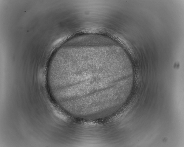 X0000094460586200711291724