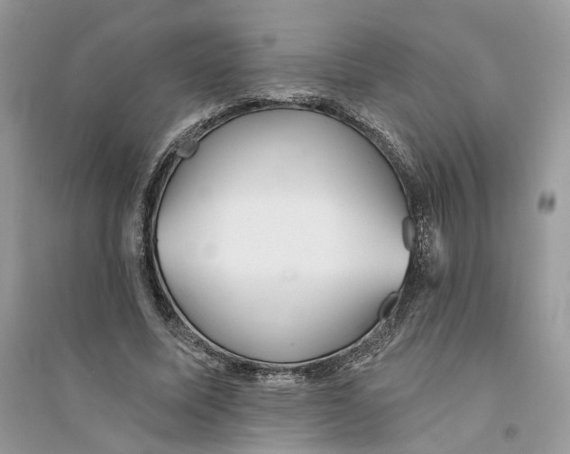 X0000094460587200711291724