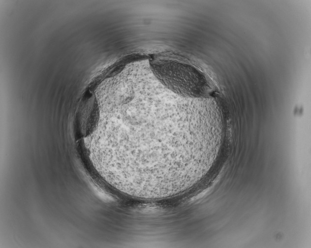 X0000094460589200711291724