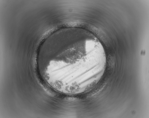 X0000094460590200711291723