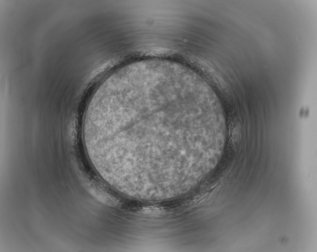 X0000094460591200711291723