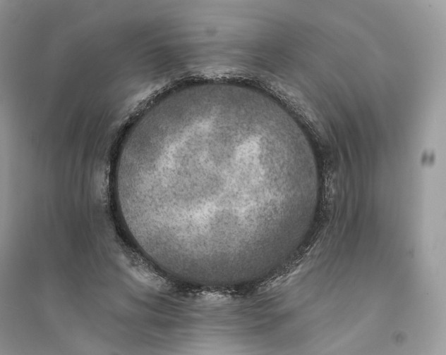 X0000094460592200711291723