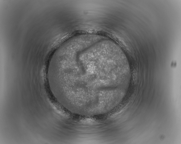 X0000094460594200711291723