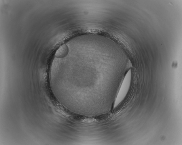 X0000094460595200711291723