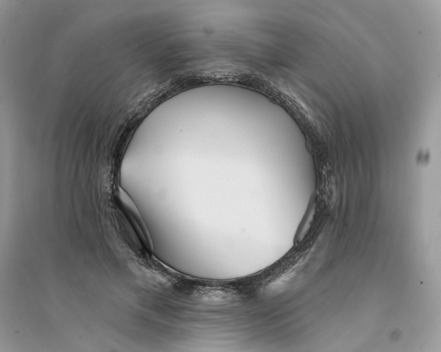 X0000094460597200711291723