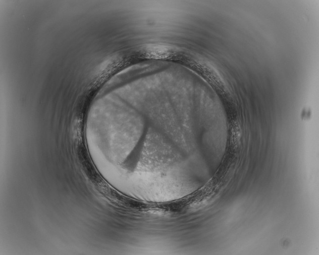 X0000094460598200711291723