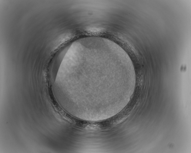 X0000094460599200711291723