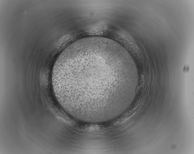 X0000094460600200711291723