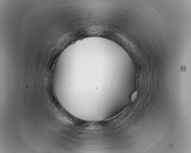 X0000094460601200711291723