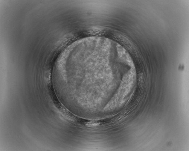 X0000094460602200711291723