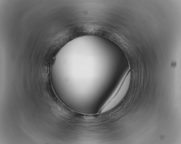 X0000094460605200711291723