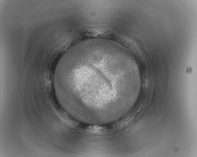 X0000094460607200711291723