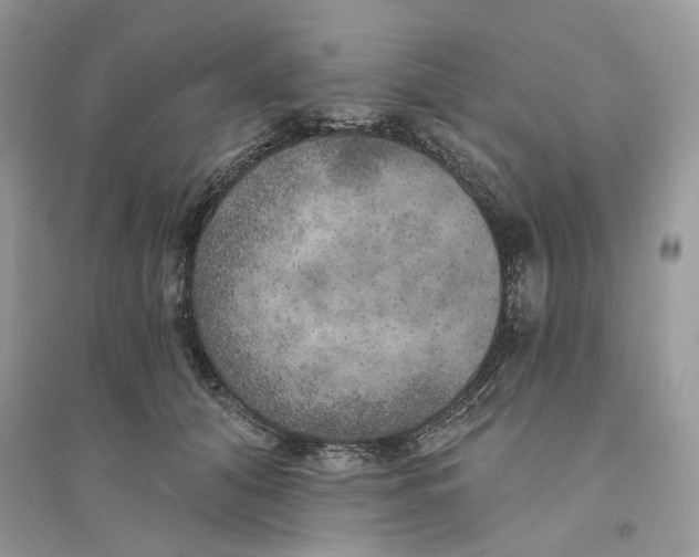 X0000094460608200711291723