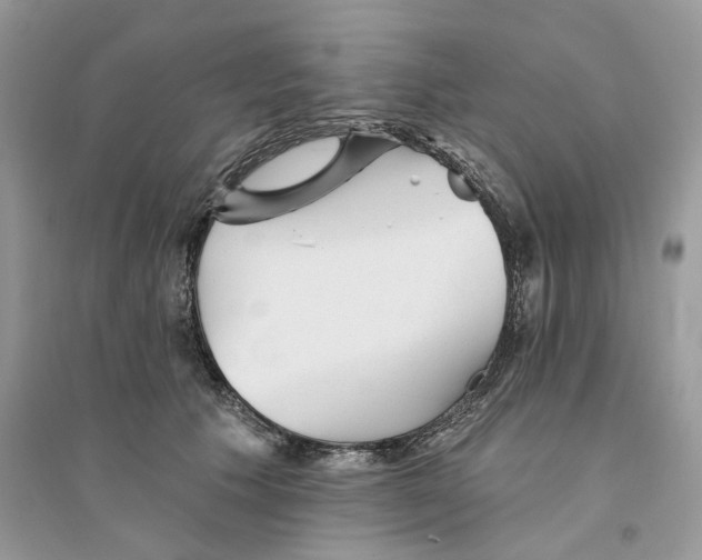 X0000094460609200711291723